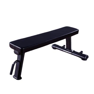 Dumbbell Bench Strength Training Workout Press Bench