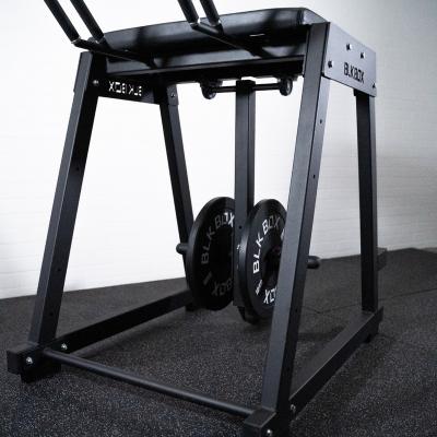 Custom For Training The Lower Back More Safely