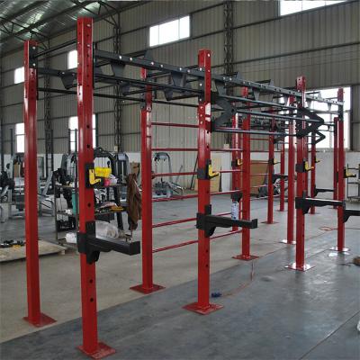 Gym C Series Frame Rack Squat Ladder