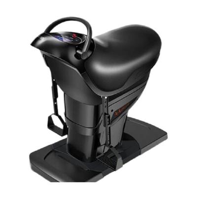 Horse Riding Machine