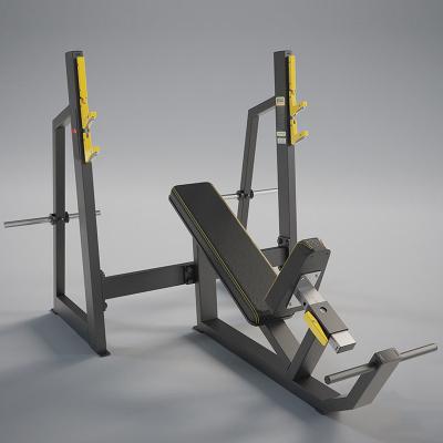 Olympic Weight Bench with Preacher Curl Pad and Leg Developer for Full-Body Workout