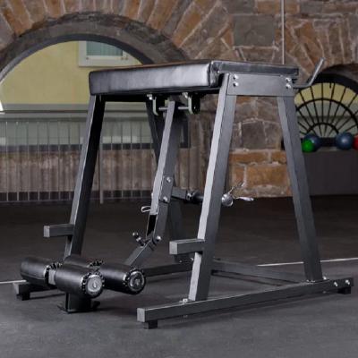 leg extension training rack