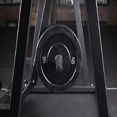 Commercial Horizontal And Vertical Reverse Leg Extension Training Rack